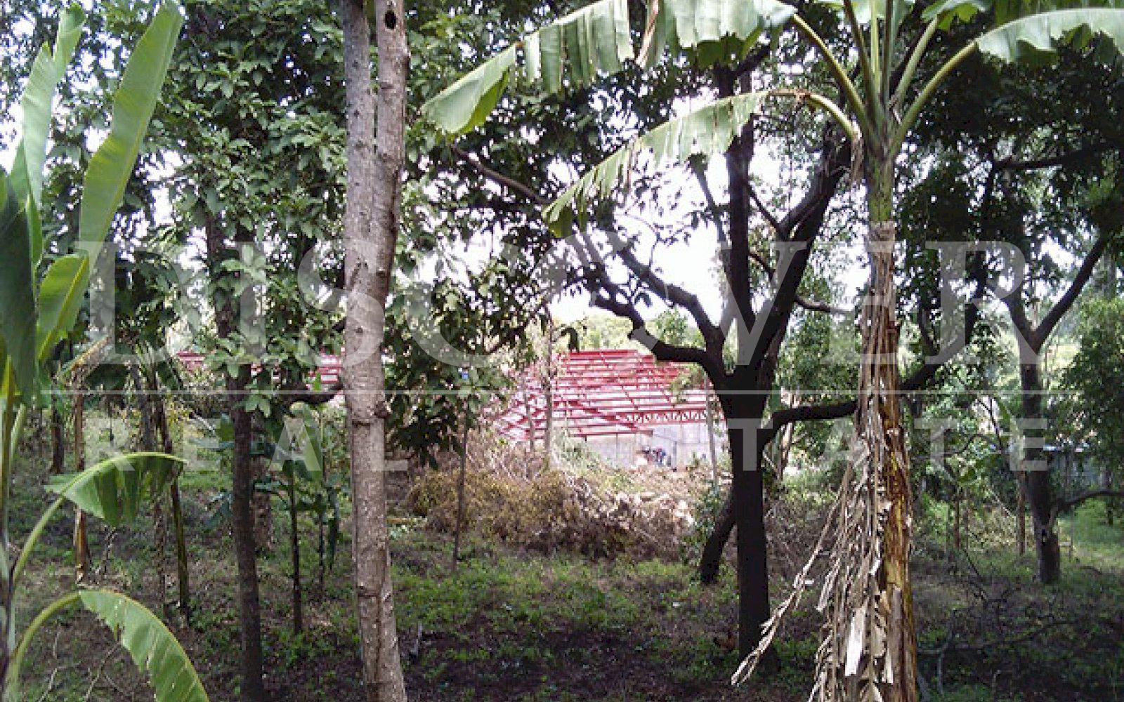 https://images.discovernica.com/propiedad/1600/ID_9478_TERRENO.CAMINO_VIEJO_SANTO_DOMINGO.VENTA_5_.jpg