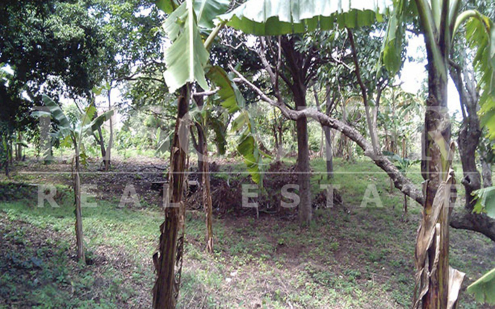 https://images.discovernica.com/propiedad/1600/ID_9478_TERRENO.CAMINO_VIEJO_SANTO_DOMINGO.VENTA_6_.jpg