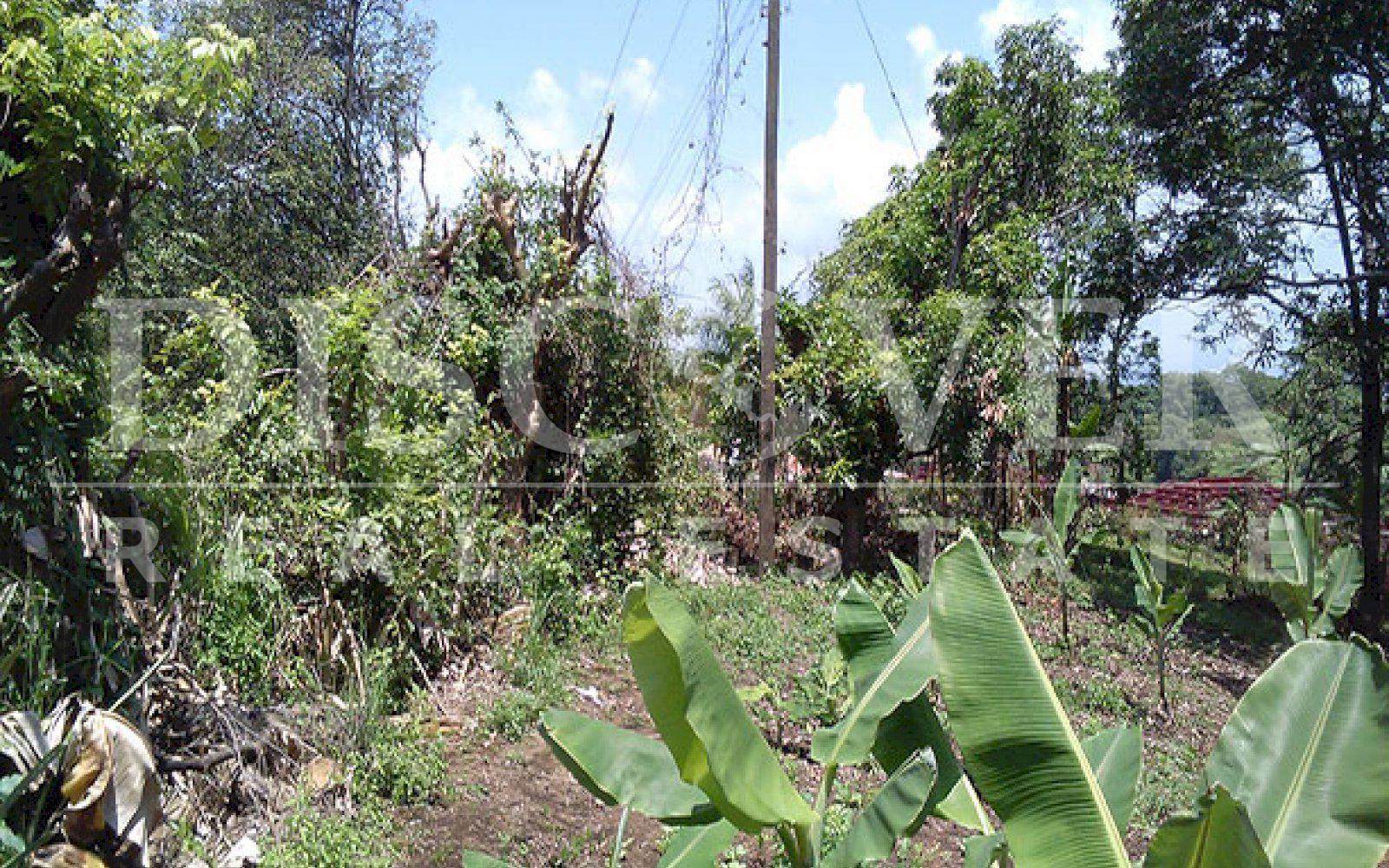 https://images.discovernica.com/propiedad/1600/ID_9478_TERRENO.CAMINO_VIEJO_SANTO_DOMINGO.VENTA_7_.jpg
