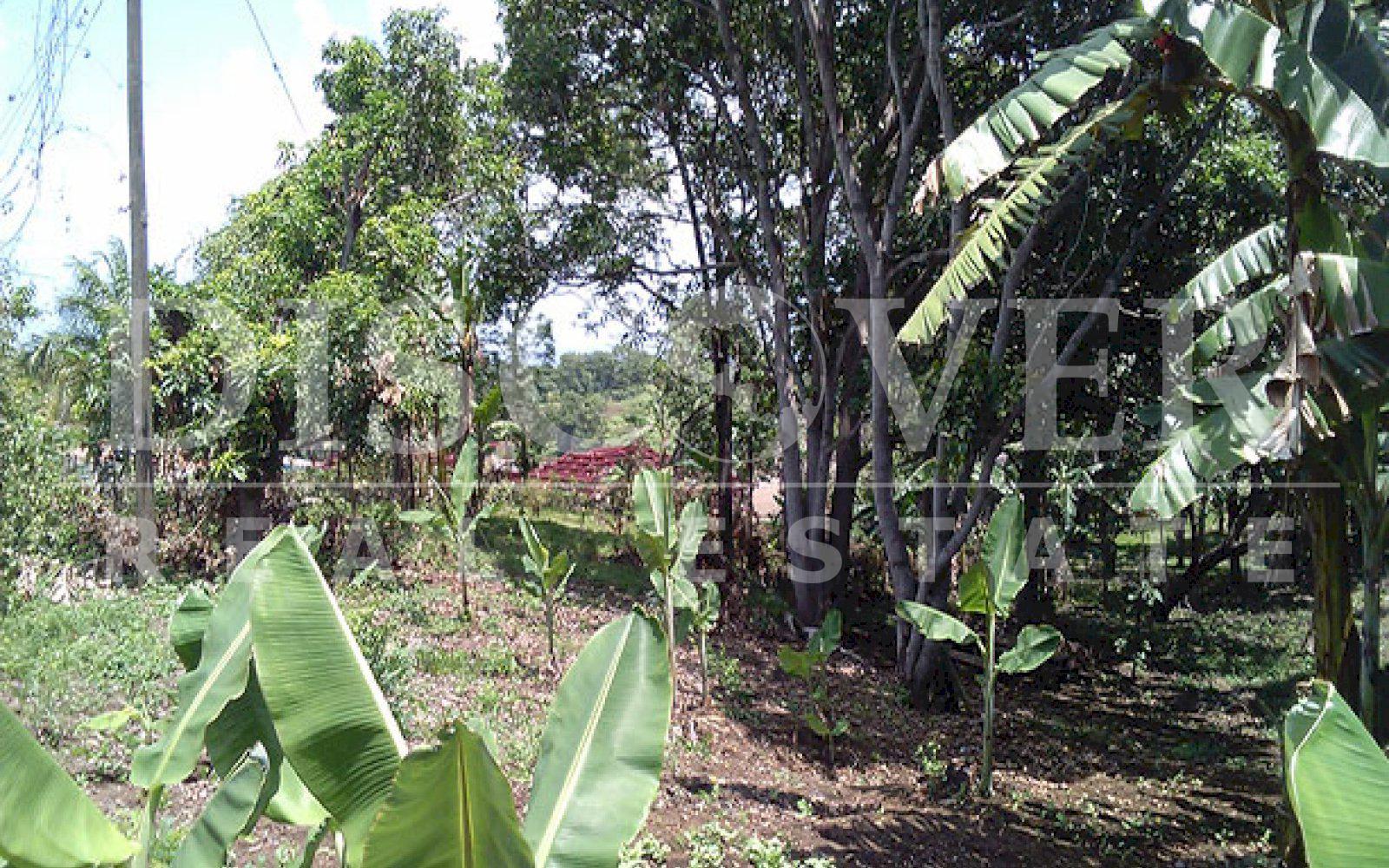 https://images.discovernica.com/propiedad/1600/ID_9478_TERRENO.CAMINO_VIEJO_SANTO_DOMINGO.VENTA_8_.jpg