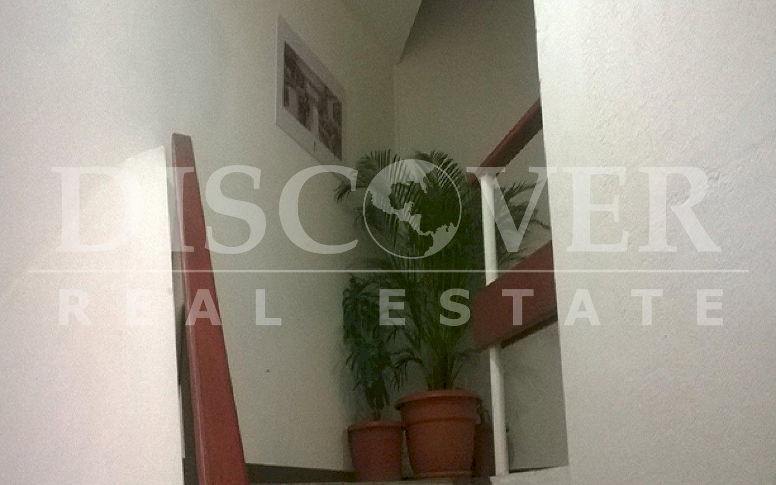 Imagen 4 de la galería