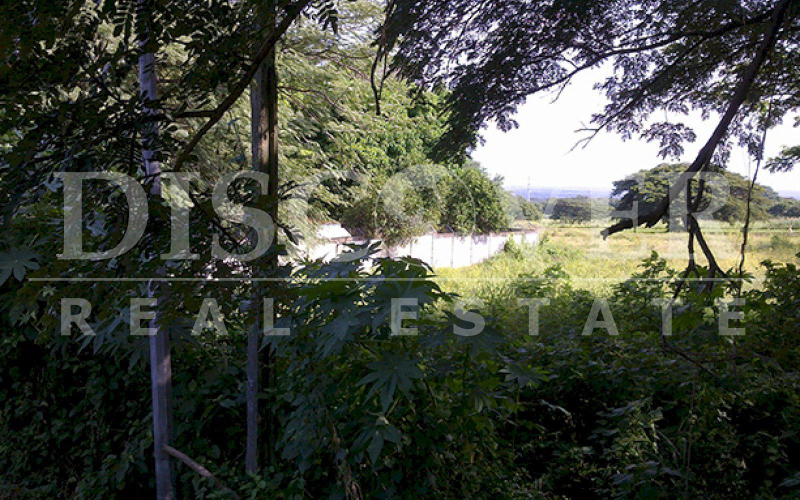 Imagen 5 de la galería