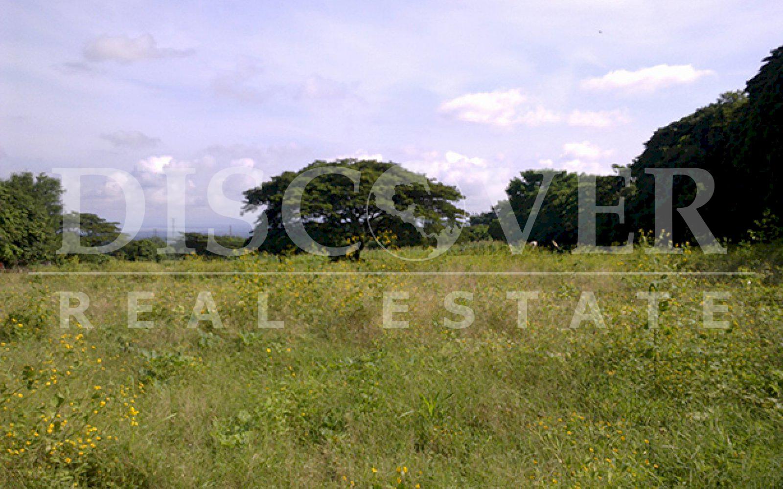 Imagen 1 de la galería