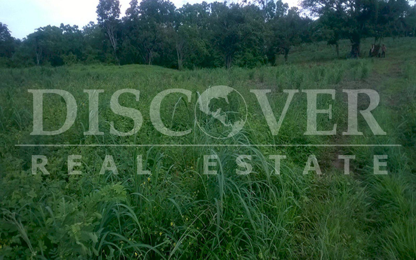 https://images.discovernica.com/propiedad/1600/ID_9499_DIRIAMBA.FINCA.TERRENO_2_.jpg