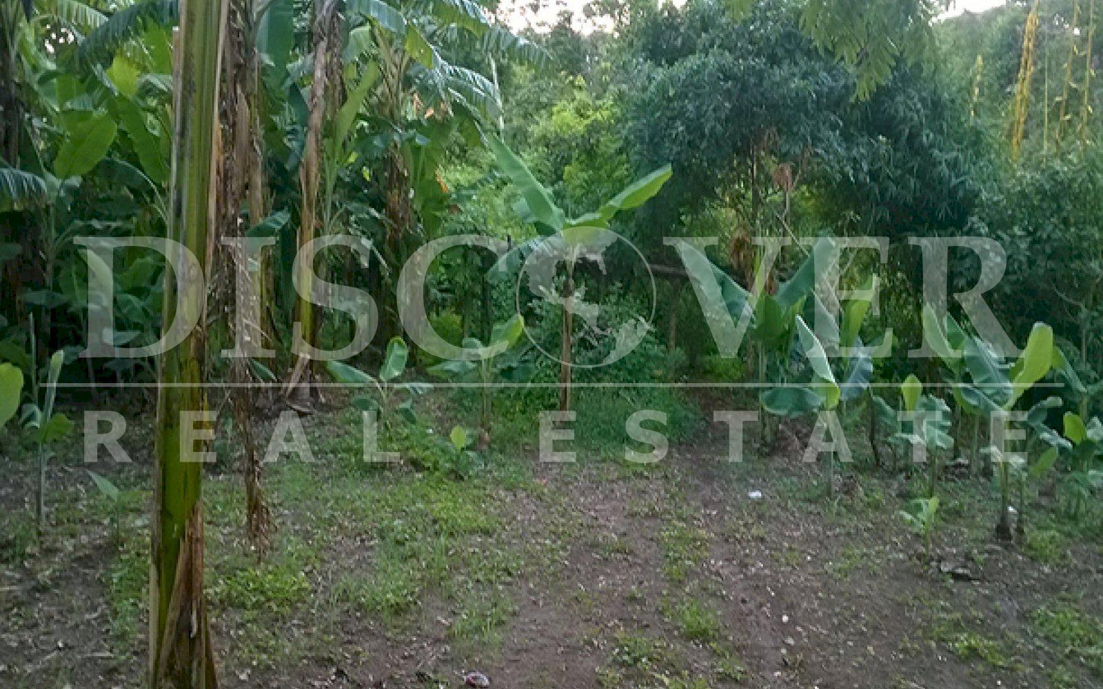 https://images.discovernica.com/propiedad/1600/ID_9499_DIRIAMBA.FINCA.TERRENO_5_.jpg