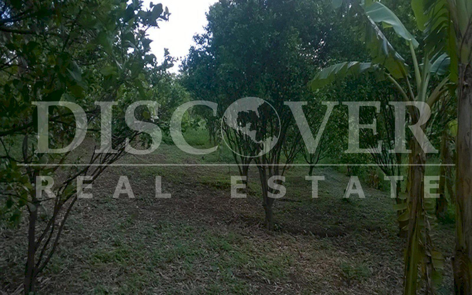 https://images.discovernica.com/propiedad/1600/ID_9499_DIRIAMBA.FINCA.TERRENO_6_.jpg