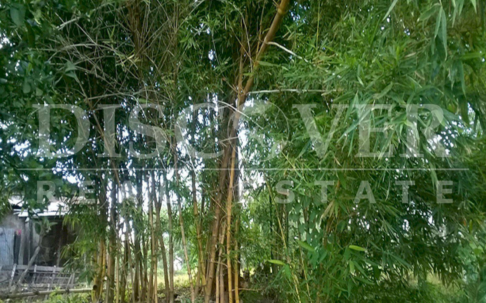 https://images.discovernica.com/propiedad/1600/ID_9499_DIRIAMBA.FINCA.TERRENO_7_.jpg
