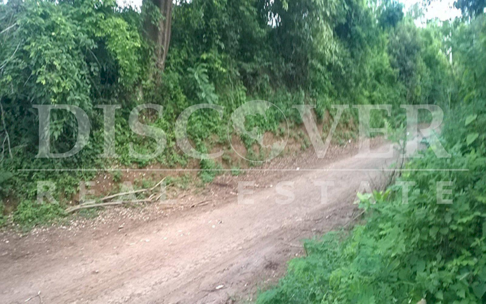 https://images.discovernica.com/propiedad/1600/ID_9499_FINCA.DIRIAMBA.CARAZO.VENTA.16_MANZANAS_1_.jpg