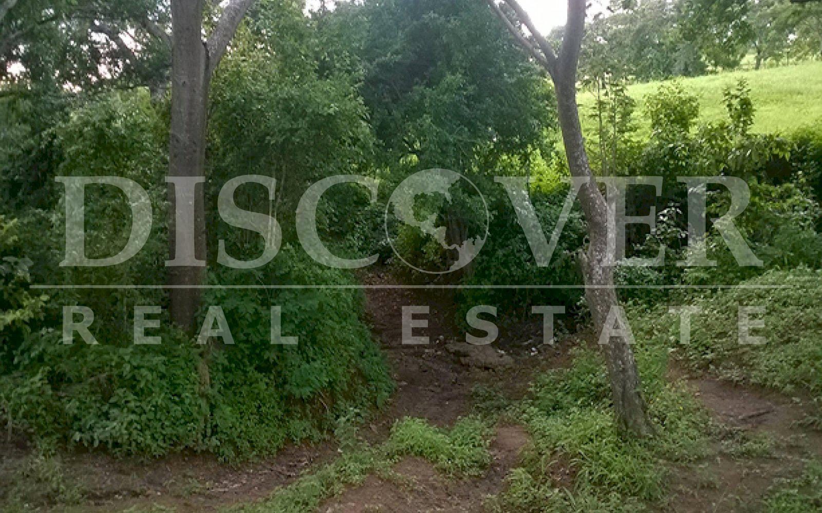 https://images.discovernica.com/propiedad/1600/ID_9499_FINCA.DIRIAMBA.CARAZO.VENTA.16_MANZANAS_6_.jpg