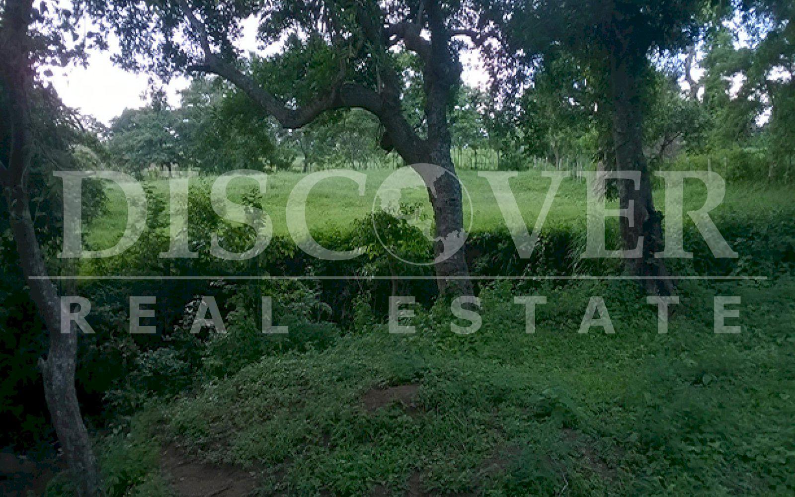 https://images.discovernica.com/propiedad/1600/ID_9499_FINCA.DIRIAMBA.CARAZO.VENTA.16_MANZANAS_8_.jpg