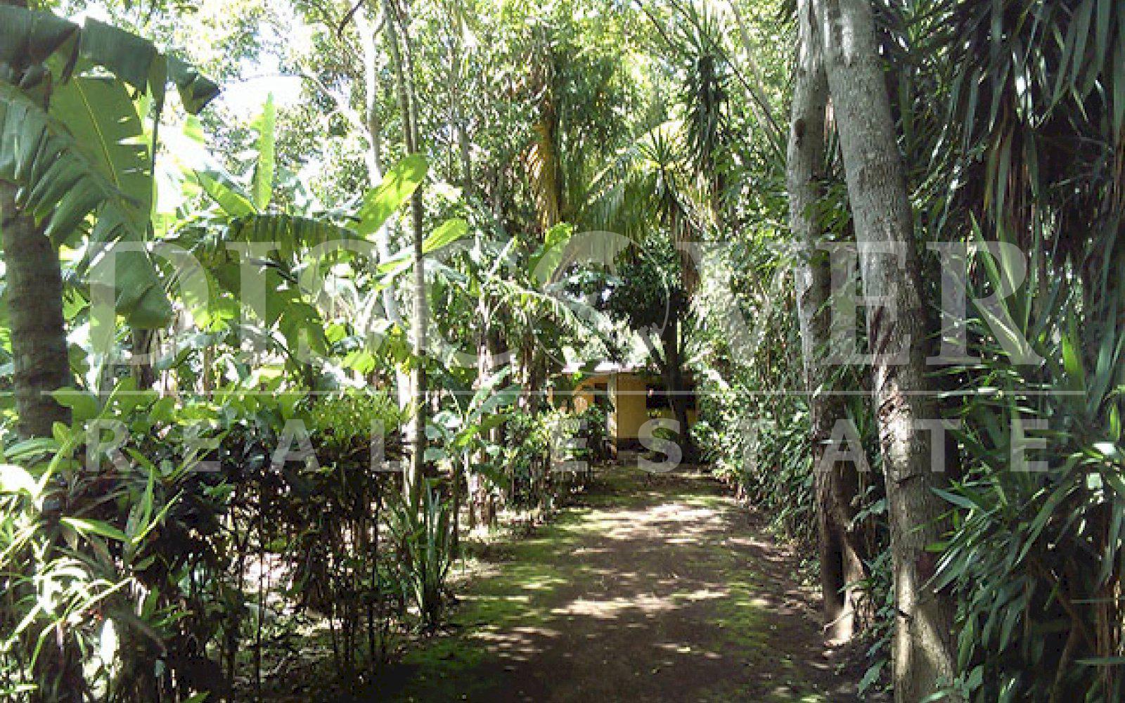 https://images.discovernica.com/propiedad/1600/ID_9552_DIRIAMBA.CASA.QUINTA.VENTA.CARAZO_7_.jpg