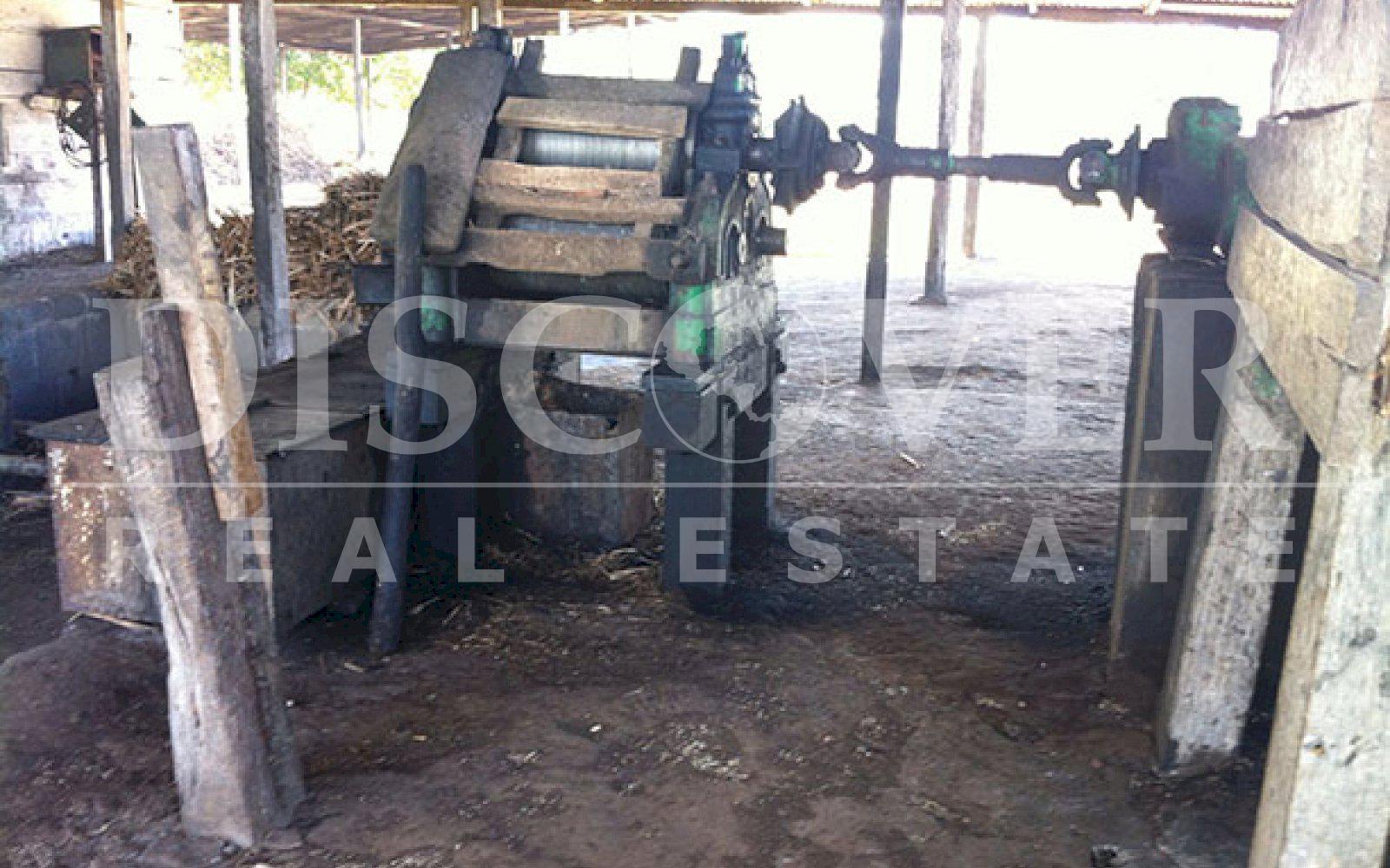 Imagen 7 de la galería