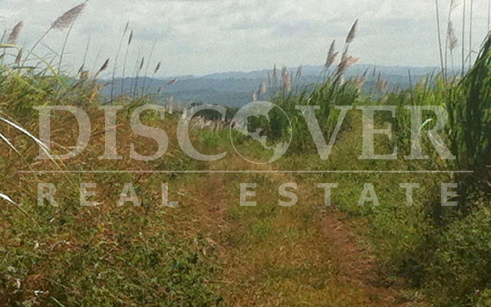 https://images.discovernica.com/propiedad/1600/ID_9660_SANTA_TERESA.CARAZO.FINCA._100_MANZANAS_DE_TIERRA_4_.jpg