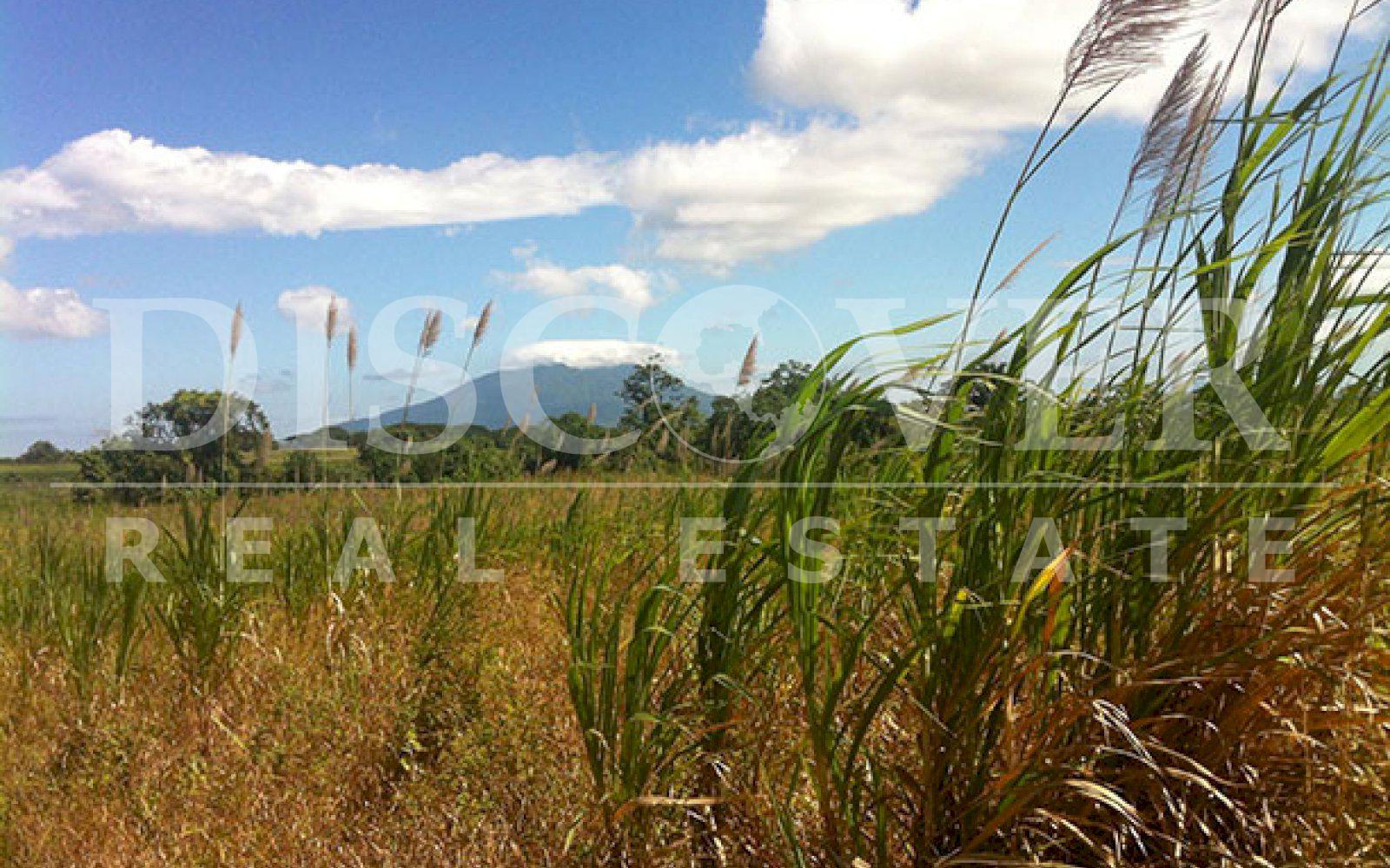 https://images.discovernica.com/propiedad/1600/ID_9660_SANTA_TERESA.CARAZO.FINCA._100_MANZANAS_DE_TIERRA_7_.jpg