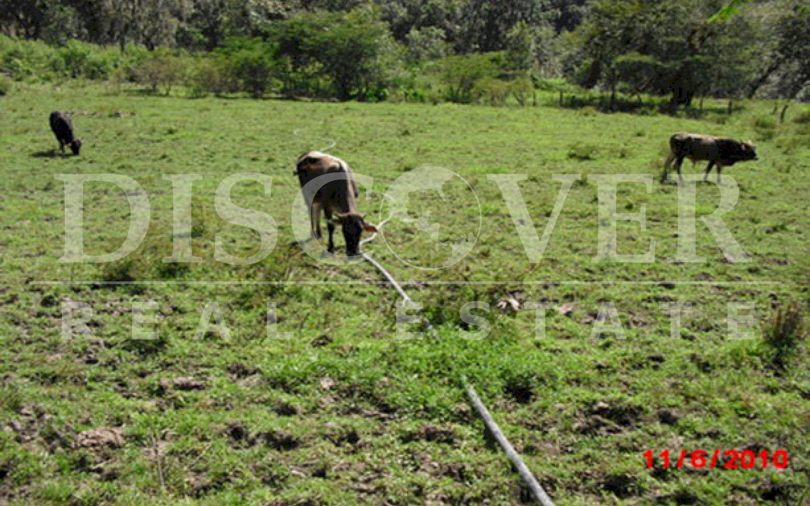 https://images.discovernica.com/propiedad/1600/ID_9699.FINCA.CARRETERA_NORTE.TIPITAPA_1_.JPG