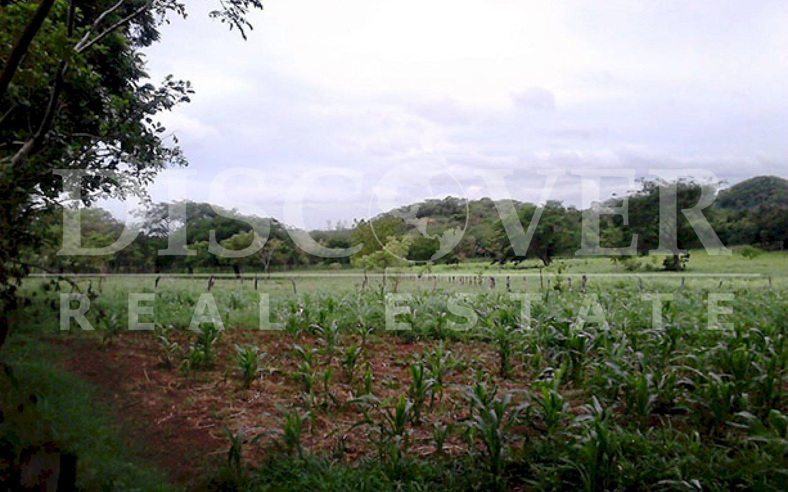 https://images.discovernica.com/propiedad/1600/ID_9699.FINCA.CARRETERA_NORTE.TIPITAPA_3_.jpg
