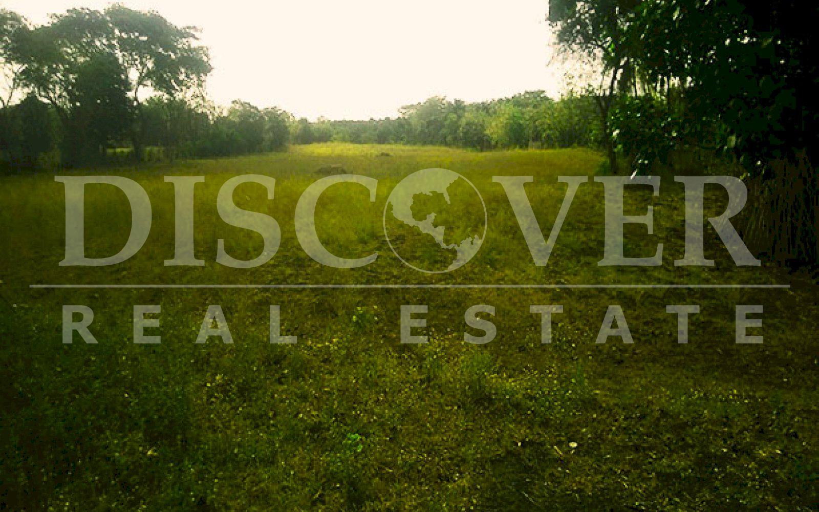 Excellent Flat Land for commercial development is for Sale in Veracruz ID 9664
