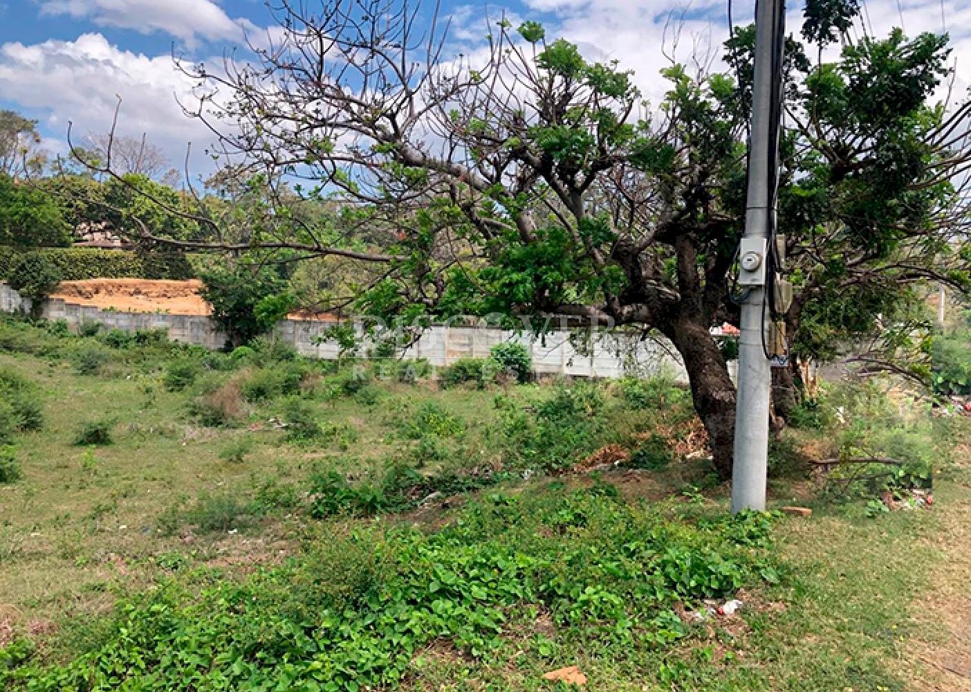 Imagen 6 de la galería