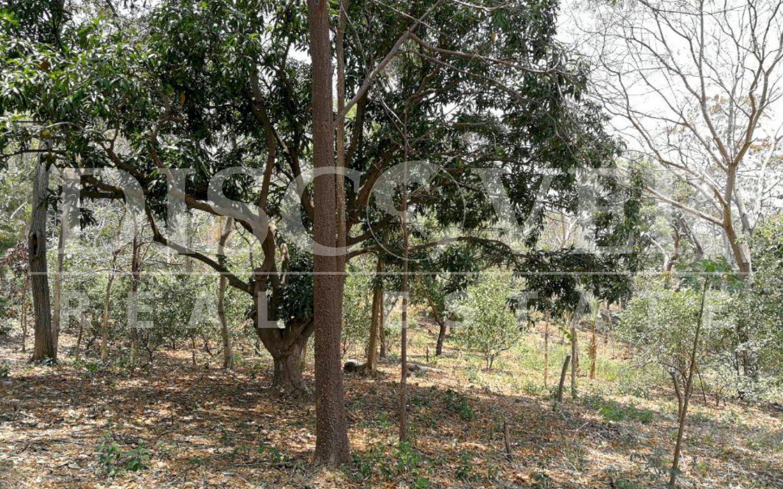 https://images.discovernica.com/propiedad/1600/IMG_20190412_115255.jpg