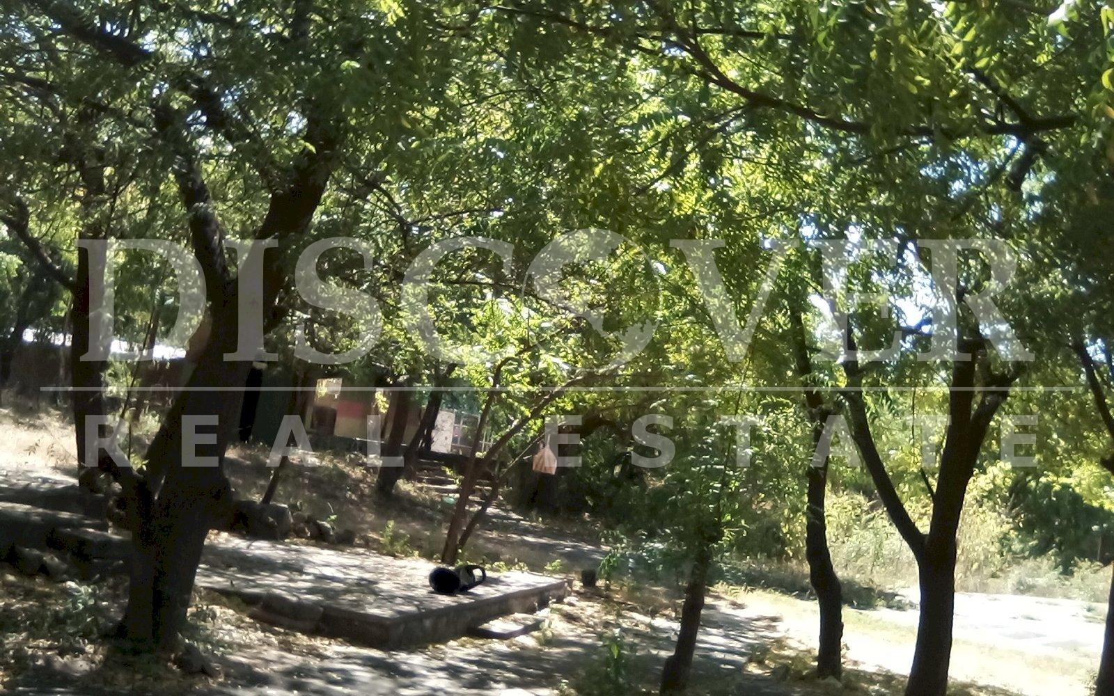 Imagen 5 de la galería