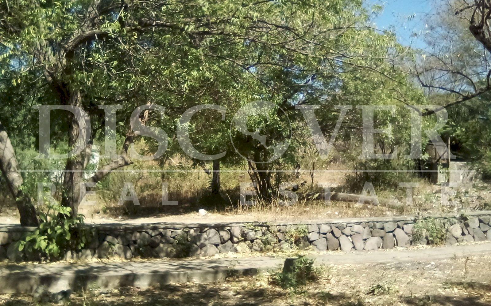 Imagen 4 de la galería