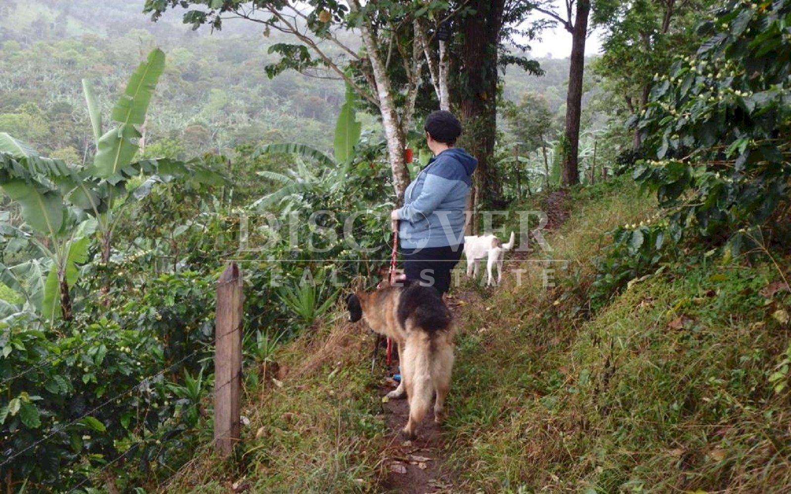 https://images.discovernica.com/propiedad/1600/IMG_20220809_WA0034.jpg