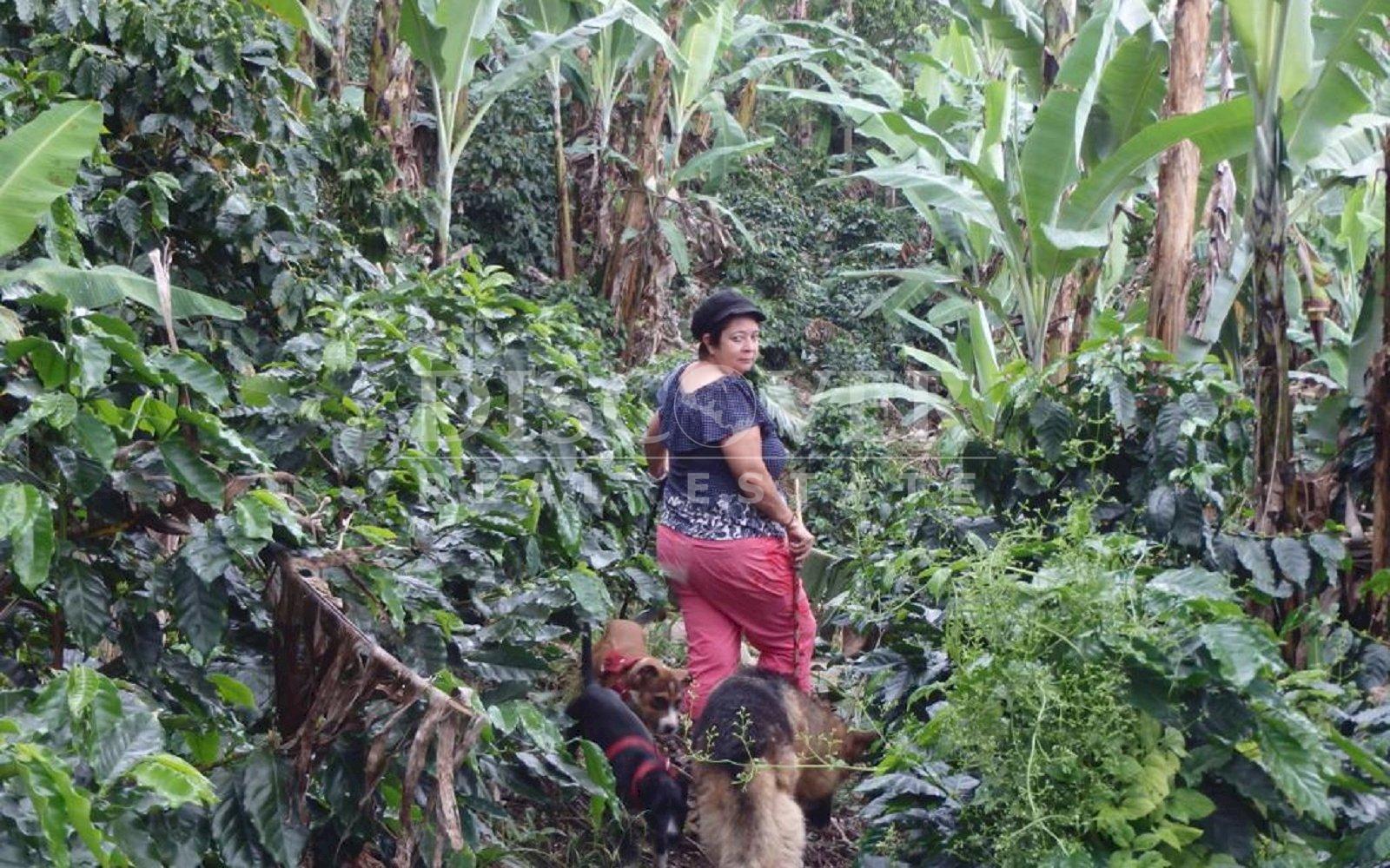https://images.discovernica.com/propiedad/1600/IMG_20220809_WA0035.jpg
