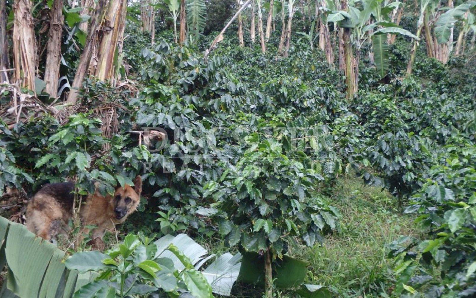 https://images.discovernica.com/propiedad/1600/IMG_20220809_WA0036.jpg
