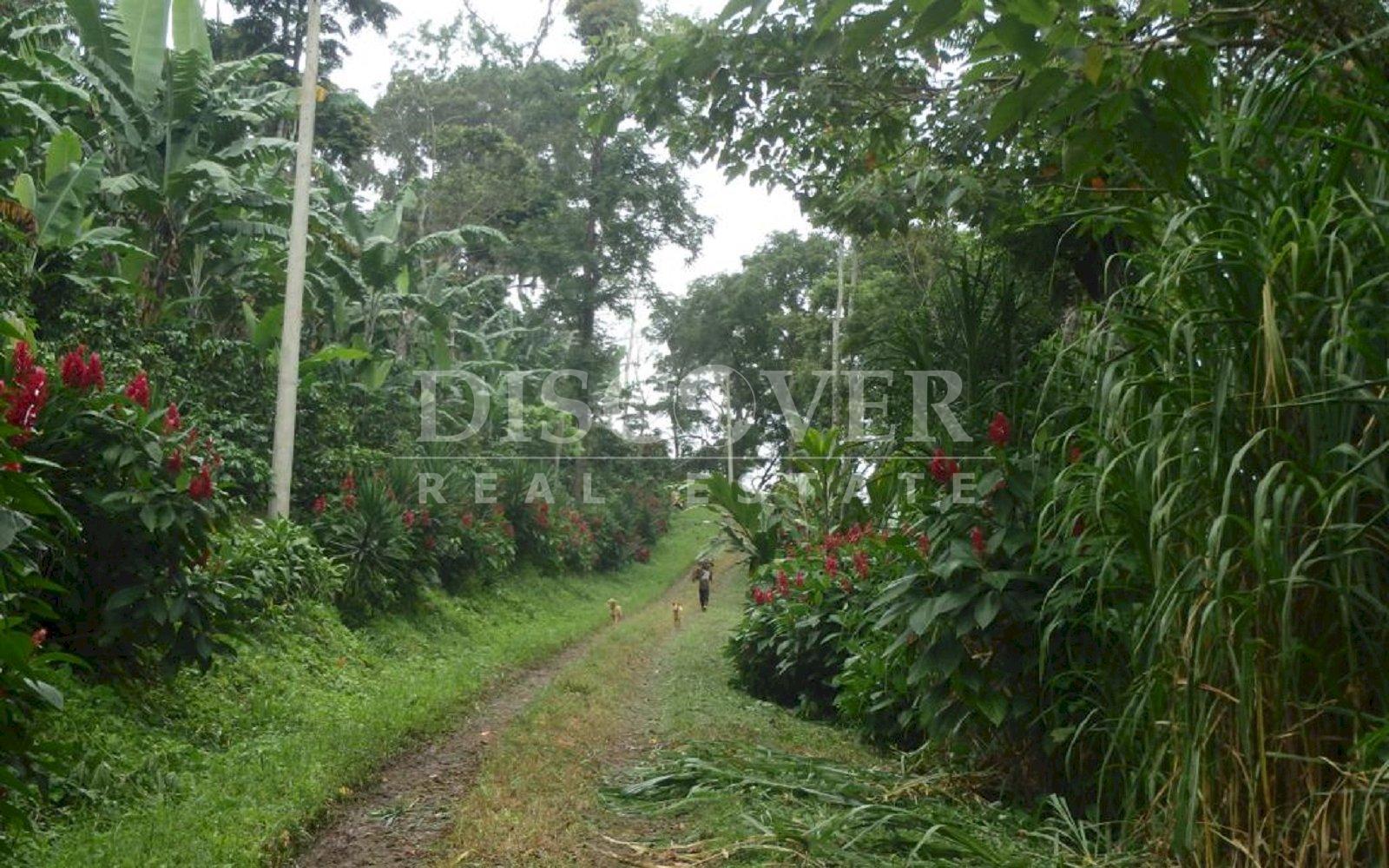 https://images.discovernica.com/propiedad/1600/IMG_20220809_WA0038.jpg