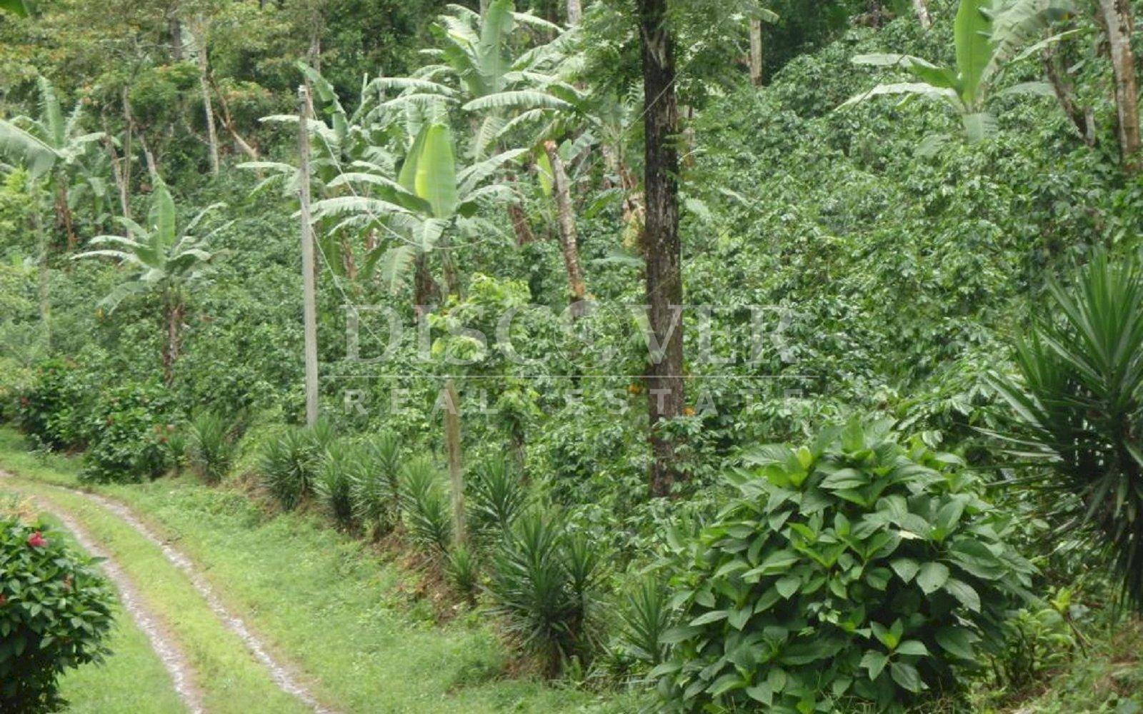 https://images.discovernica.com/propiedad/1600/IMG_20220809_WA0065.jpg