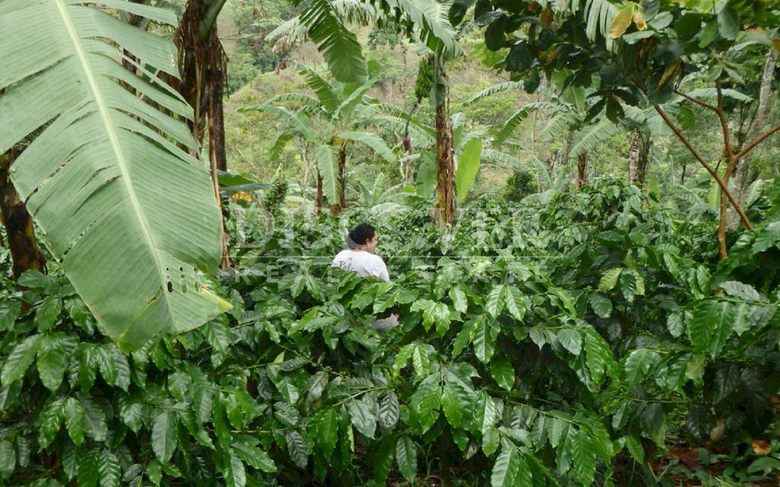 https://images.discovernica.com/propiedad/1600/IMG_20220809_WA0066.jpg