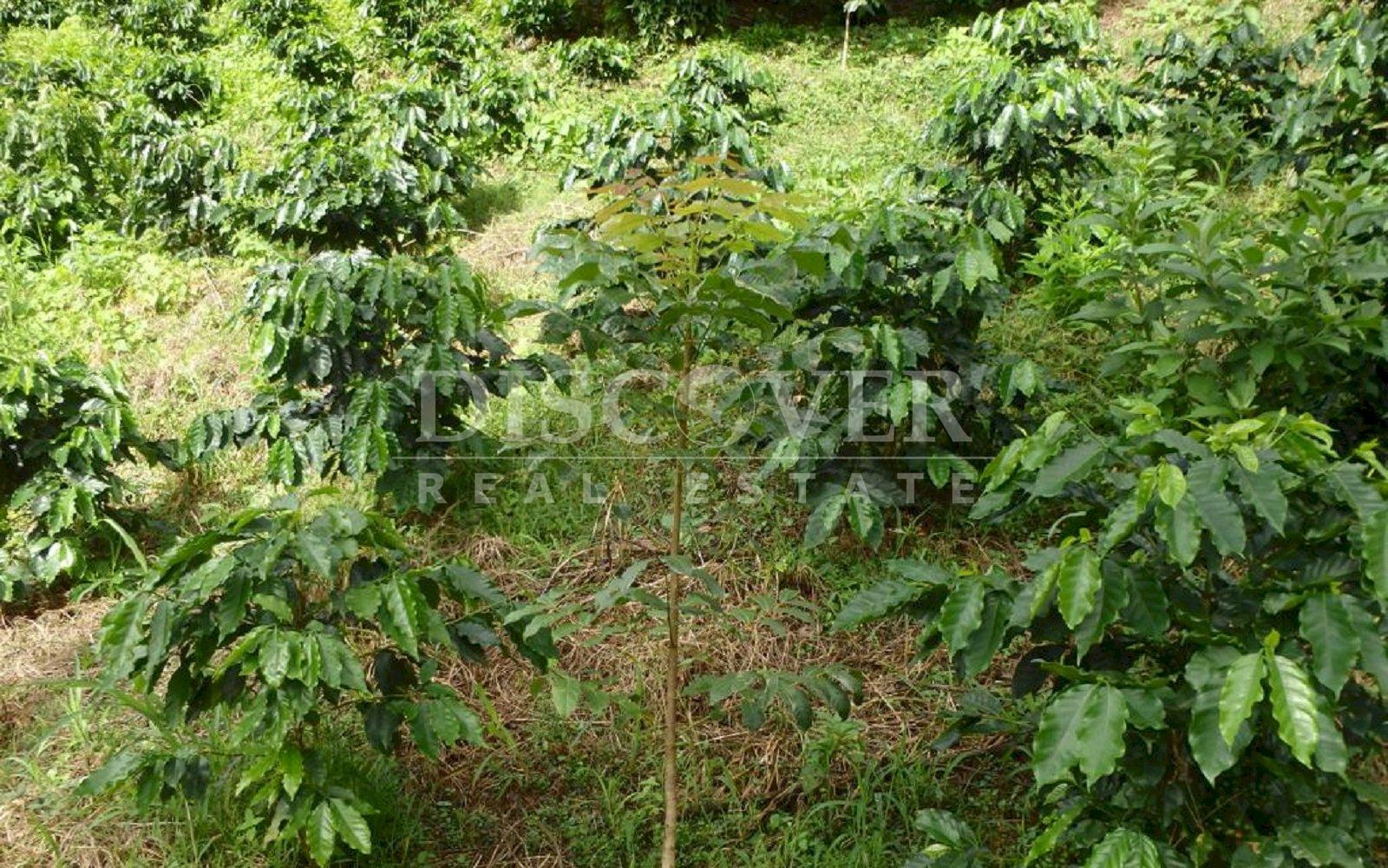 https://images.discovernica.com/propiedad/1600/IMG_20220809_WA0067.jpg