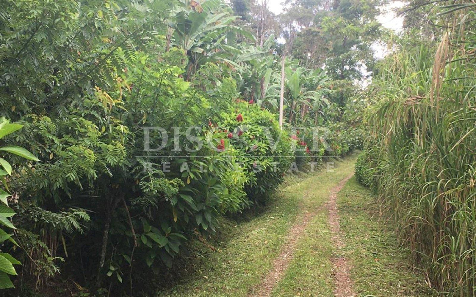 https://images.discovernica.com/propiedad/1600/IMG_20220809_WA0068.jpg