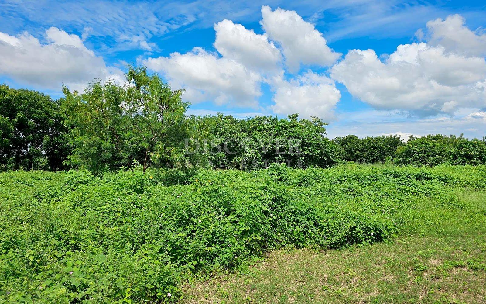 https://images.discovernica.com/propiedad/1600/IMG_20241204_WA0024_1.jpg