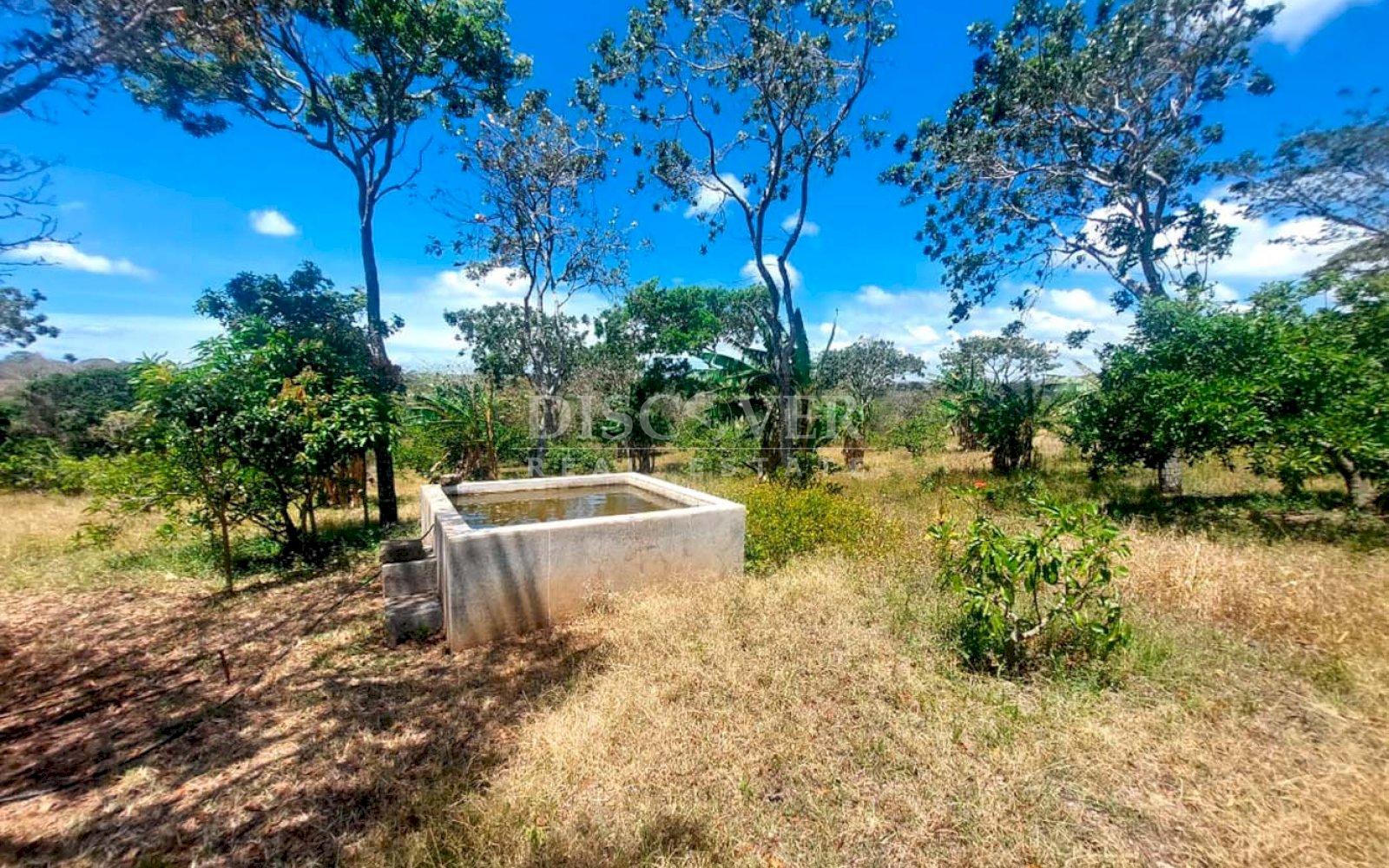 https://images.discovernica.com/propiedad/1600/IMG_20250307_WA0075.jpg