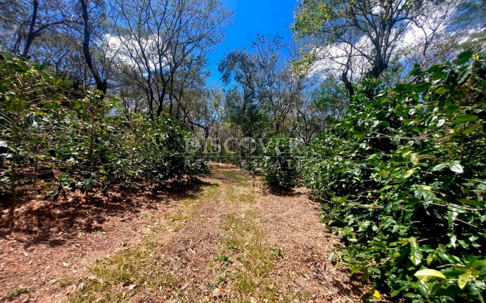 https://images.discovernica.com/propiedad/1600/IMG_20250307_WA0089.jpg