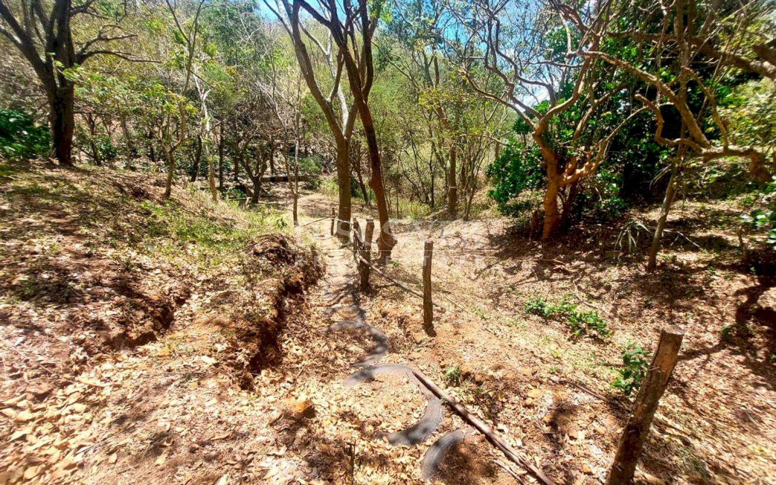 https://images.discovernica.com/propiedad/1600/IMG_20250307_WA0098.jpg