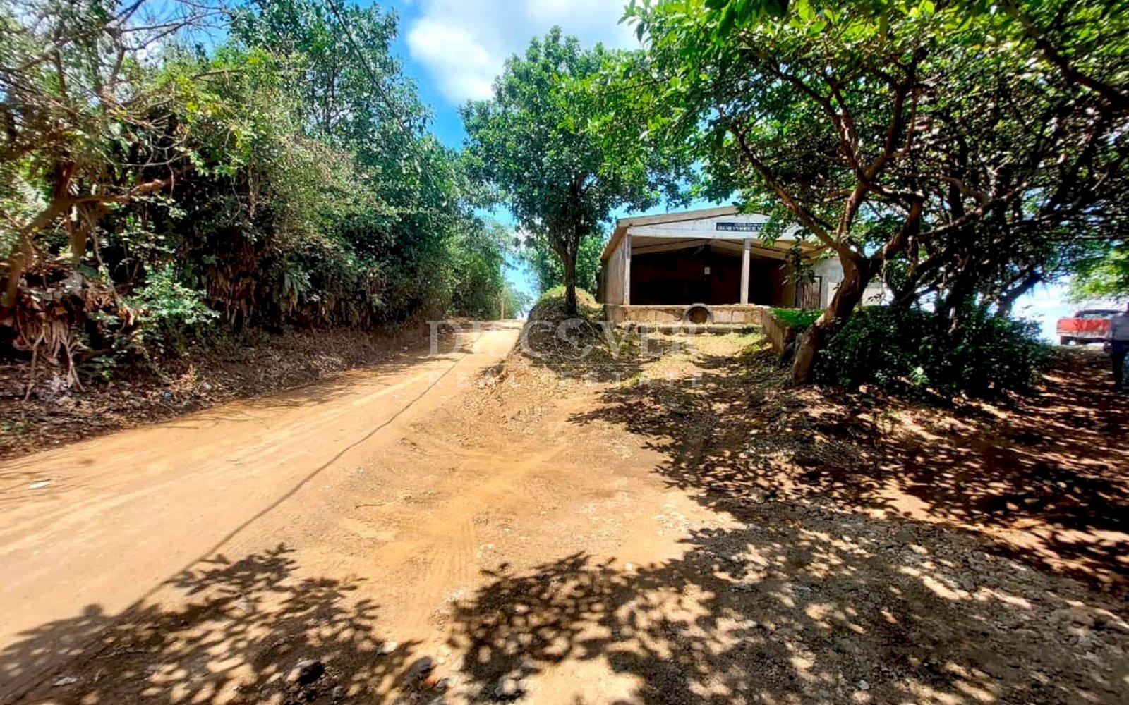 Imagen 2 de la galería