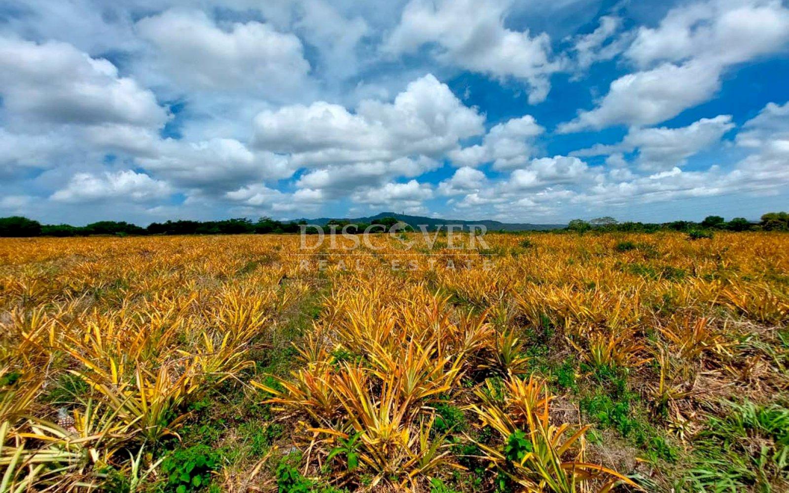 https://images.discovernica.com/propiedad/1600/IMG_20250521_WA0017.jpg