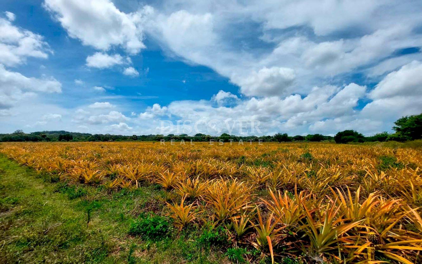 https://images.discovernica.com/propiedad/1600/IMG_20250521_WA0026.jpg