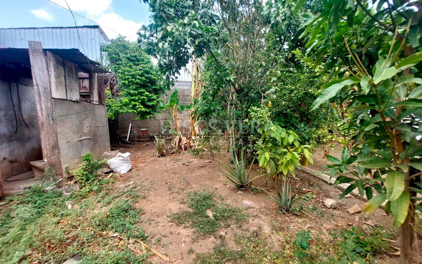Imagen 4 de la galería