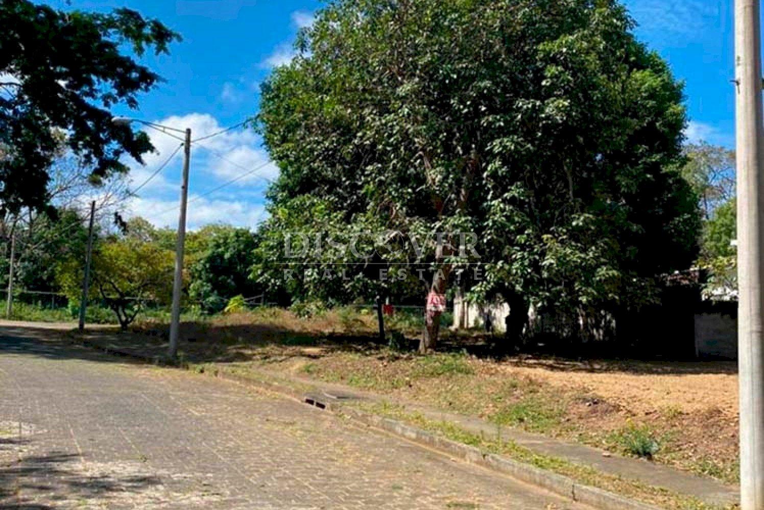 Imagen 5 de la galería