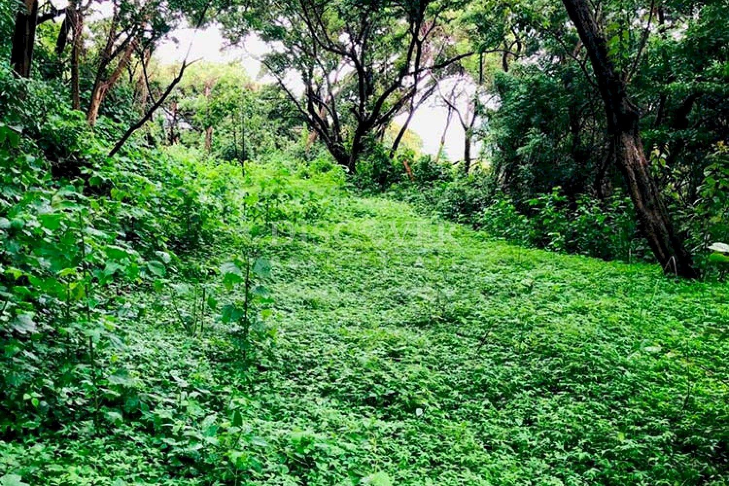  Lot for sale in El Crucero