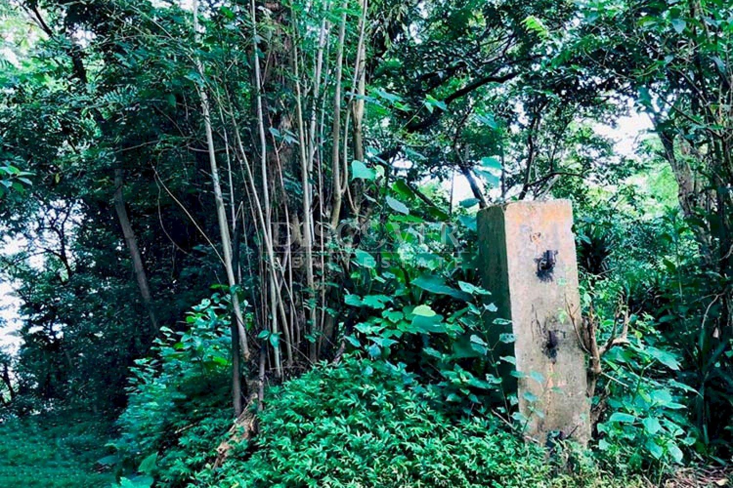  Lot for sale in El Crucero