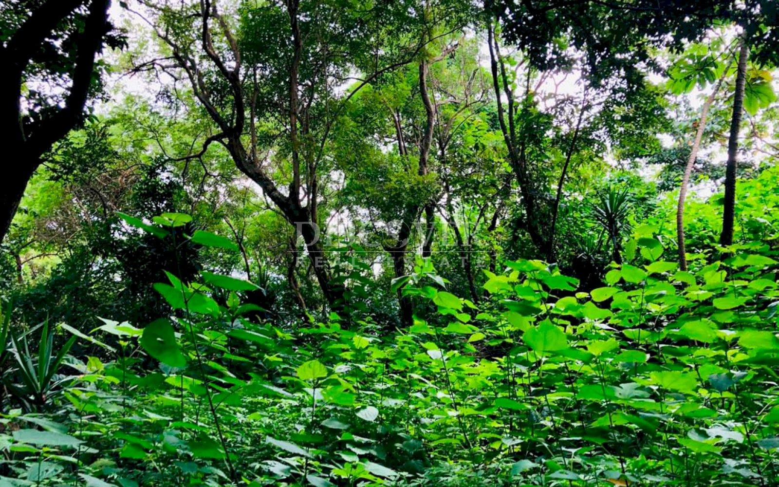  Lot for sale in El Crucero