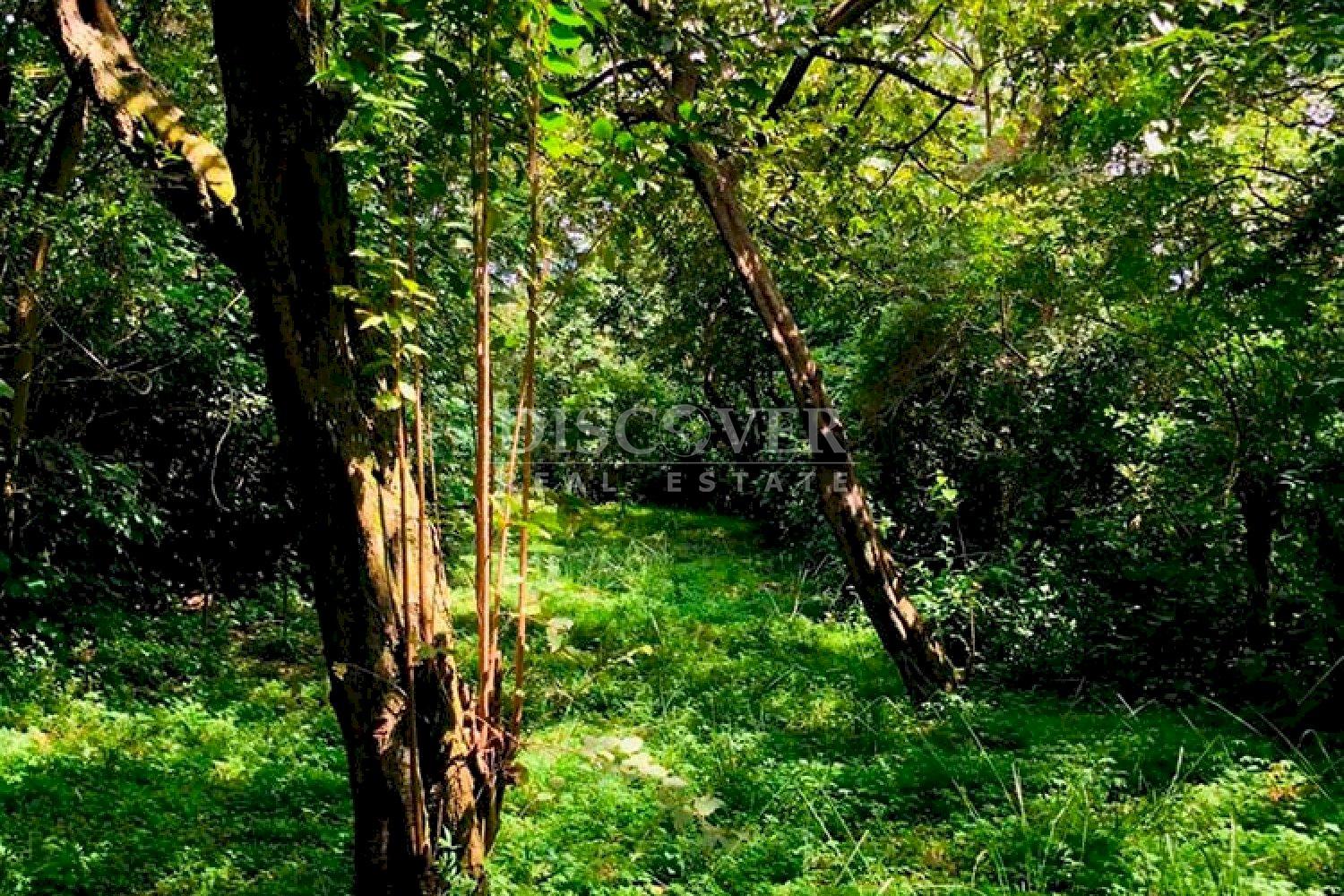  Lot for sale in El Crucero