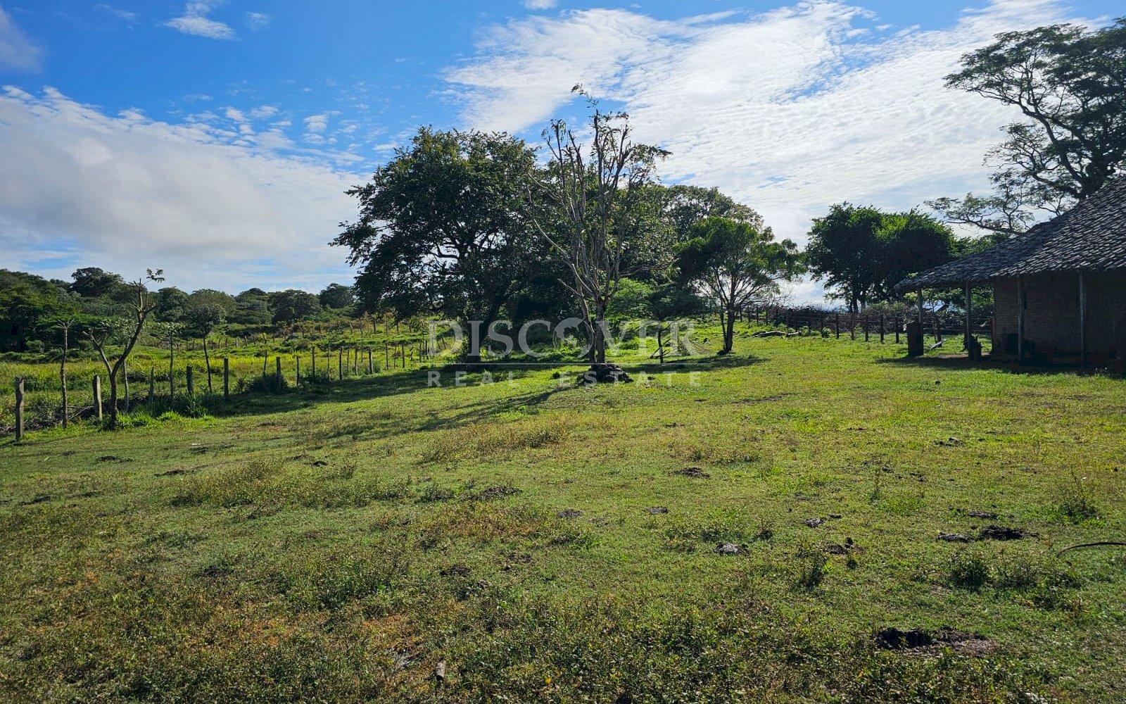  Cattle ranch for sale on Carretera Norte 