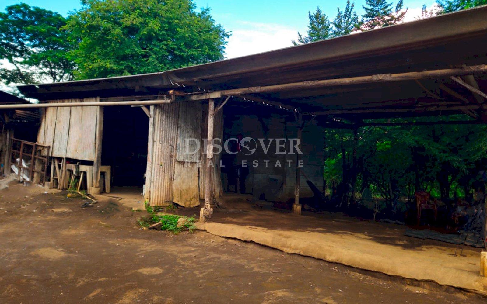  Farm for sale in León