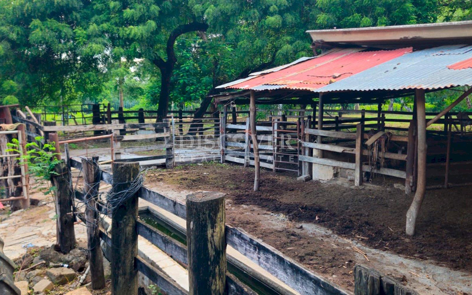  Farm for sale in León