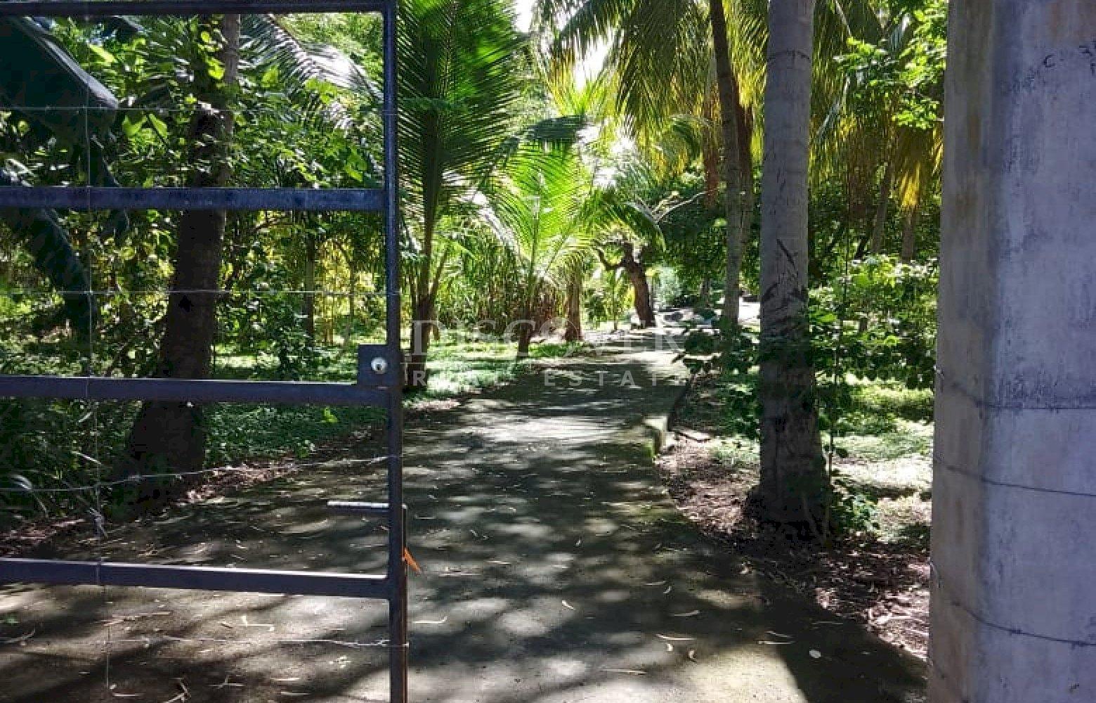  Land for Sale in Moyogalpa, Ometepe – Lakefront